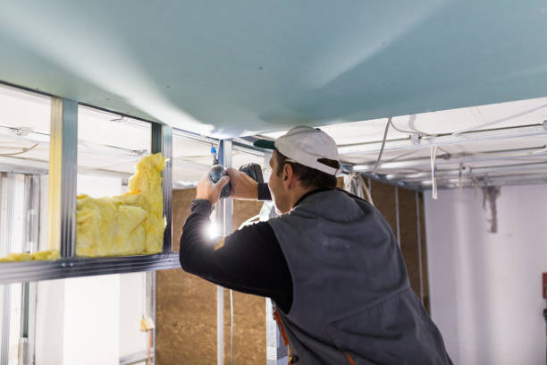 Best Energy-Efficient Insulation  in USA