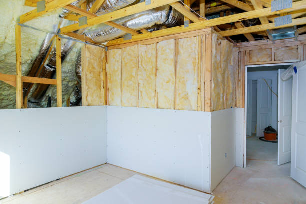 Best Local Insulation Services  in USA